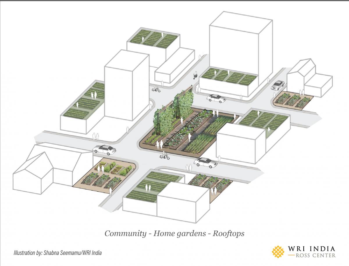 Community/home-gardens/rooftops