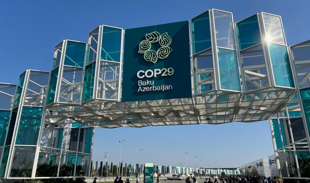 Decoding Article 6 and Climate Finance Outcomes at COP29 | WRI India