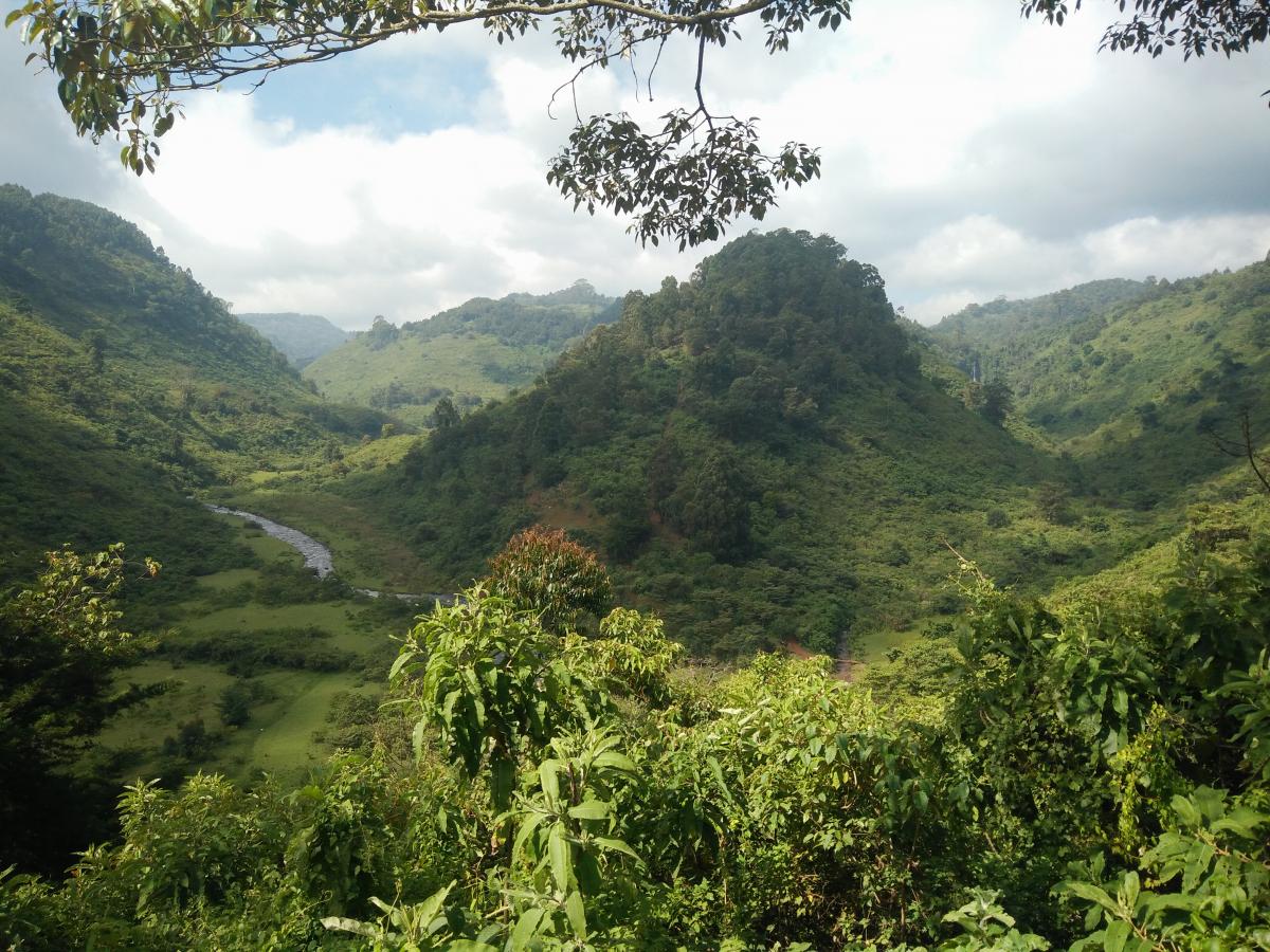 Restored Gaganka Valley