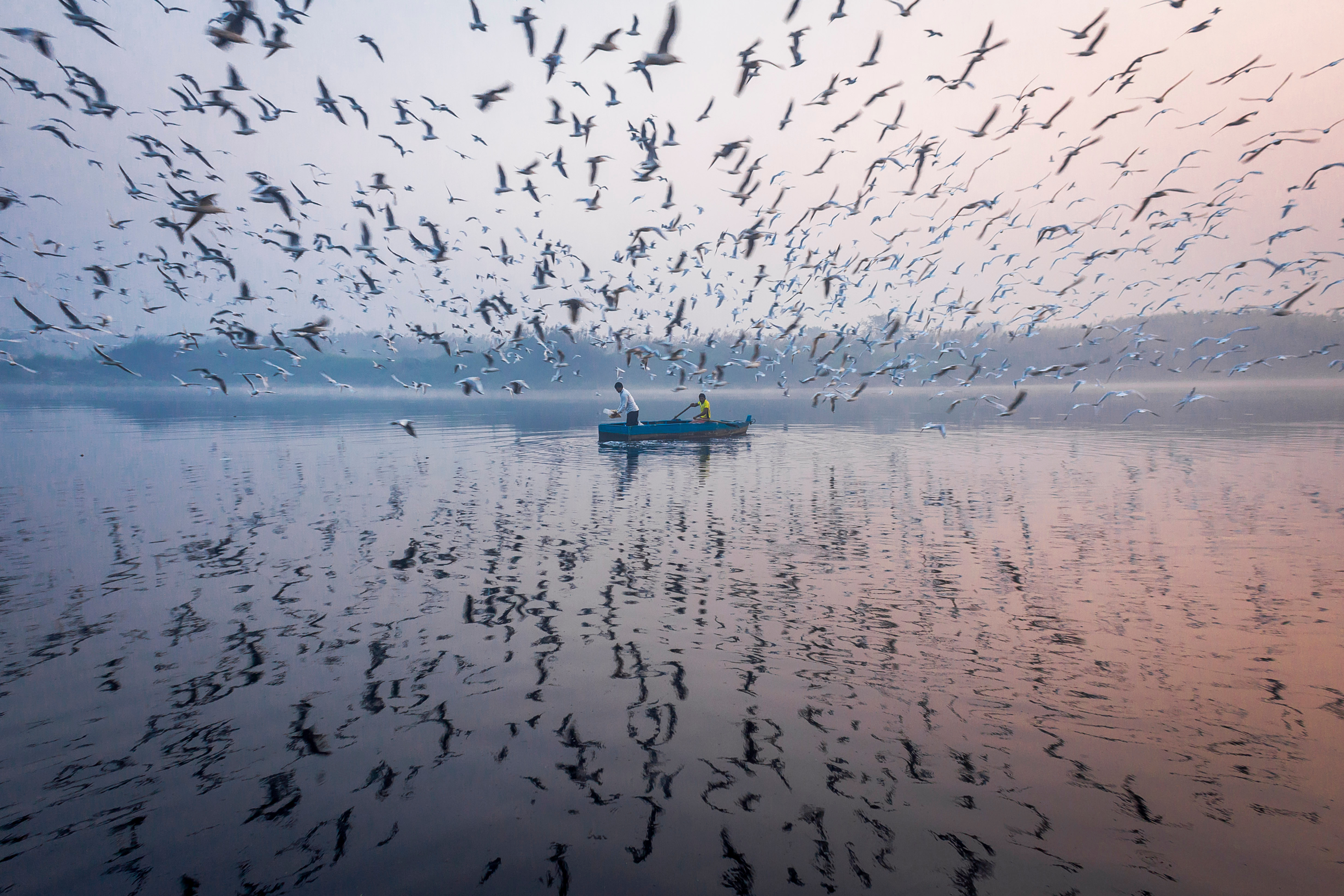 WRI India Climate