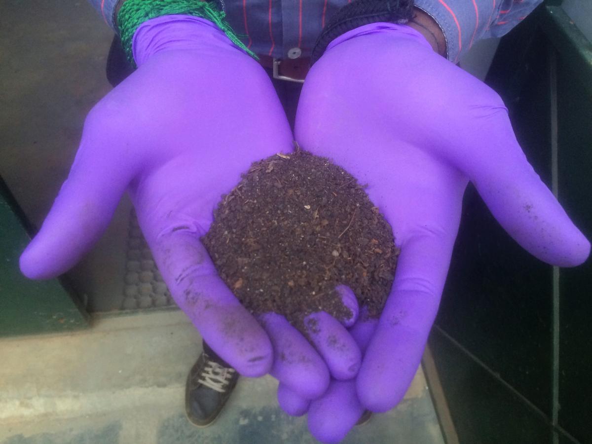 Compost treatment at Devanahalli