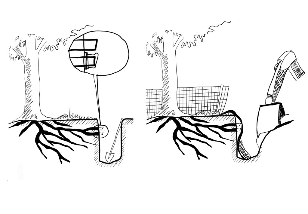 Illustration by Deepti Talpade/WRI India. Redrawn from ‘A Guide to Preserving trees from development projects’/PennState Extension.