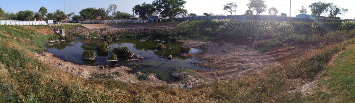 Treatment of domestic sewage using nature based solutions and use of the treated water to restore an urban waterbody, Delhi Credit: WRI India