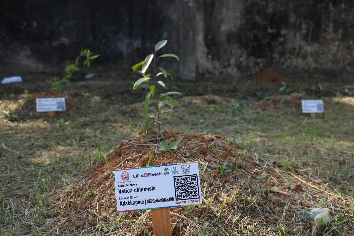 Information plate provided for all tree saplings at Kawaki sites.
