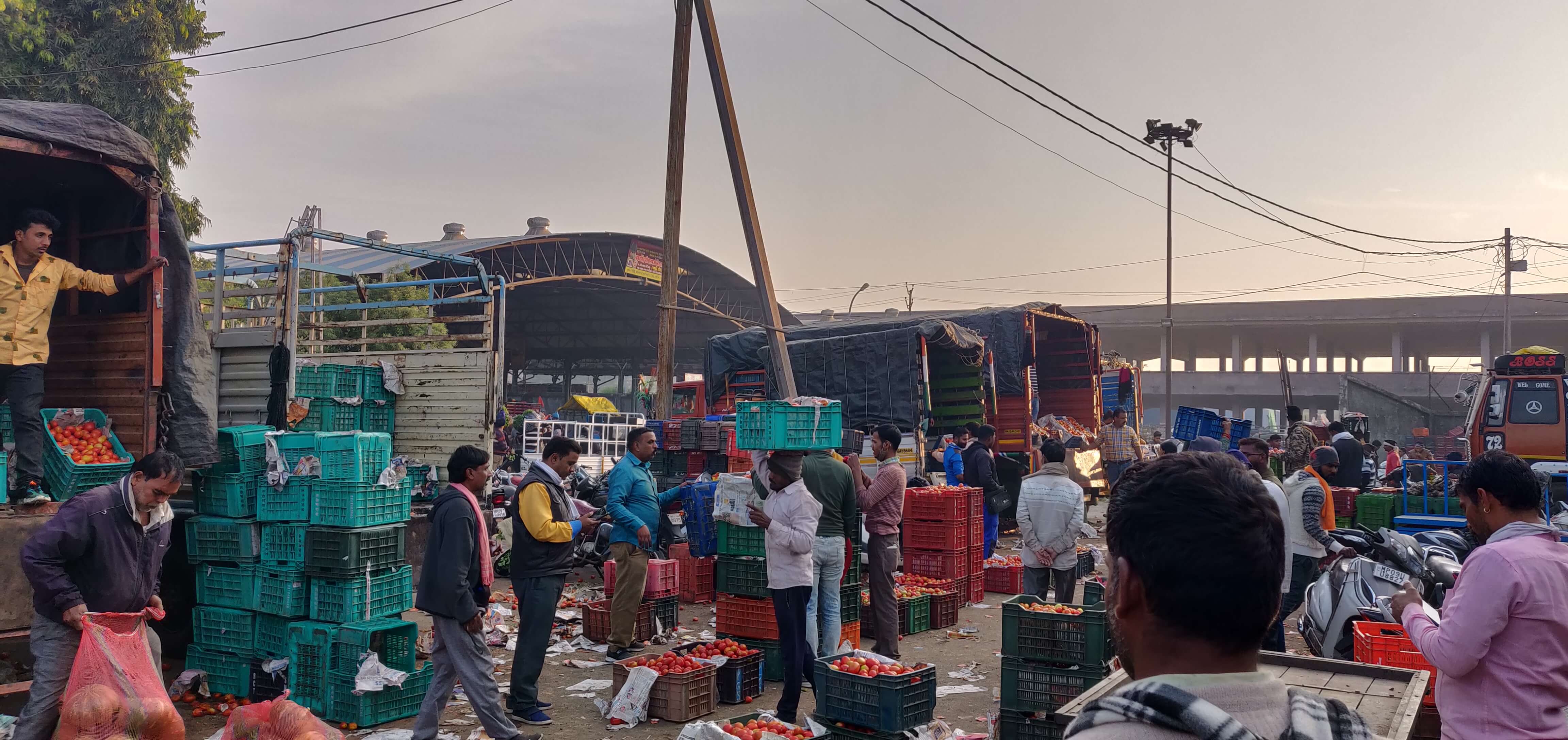 Trading in wholesale mandis begins in early morning hours; scene from a mandi in Indore.