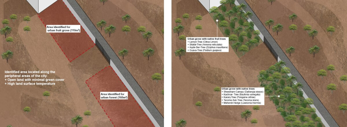 Conceptual diagrams illustrating the urban forest before and after the intervention. Illustrations by Siddharth Thyagarajan/WRI India.