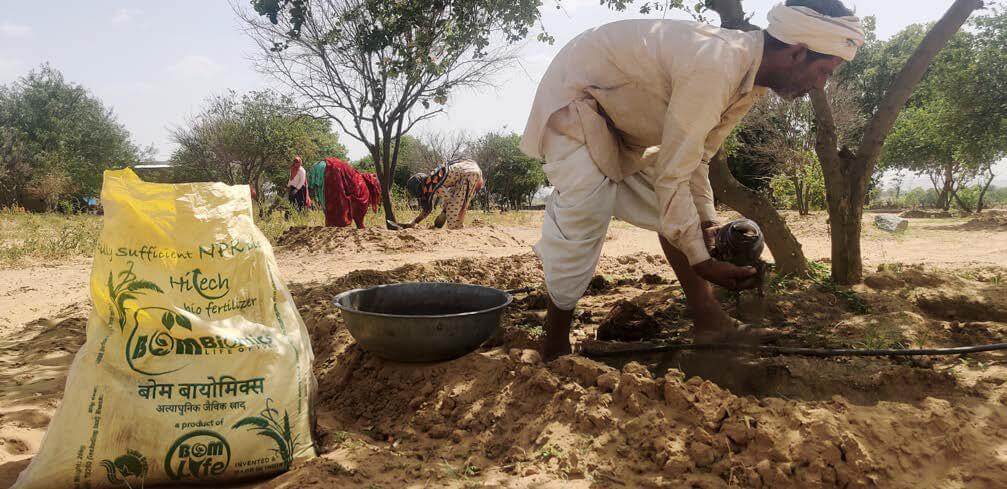 Farmers applying BomLife Biomics in their fields