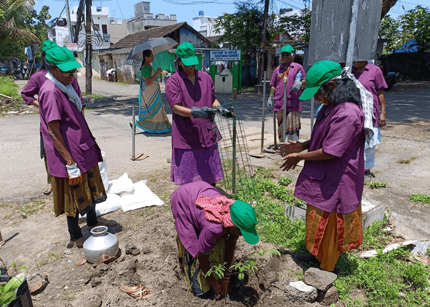 Women from SHGs deepening the trench and removing weeds from the base of planted tree saplings as part of a routine maintenance process under the Ayyankali Scheme.