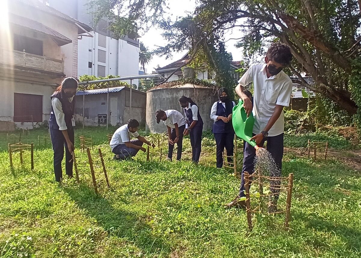 A Kawaki site being cared for by students at the SRV Government School in Kochi. Photo by Achu Sekhar/WRI India.