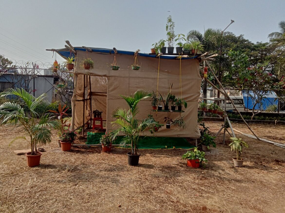 Demo micro-greening house showcasing community micro-greening initiatives in Mumbai. Photo by Priya Shinde/Transforming M Ward Project, Tata Institute of Social Sciences (TISS)
