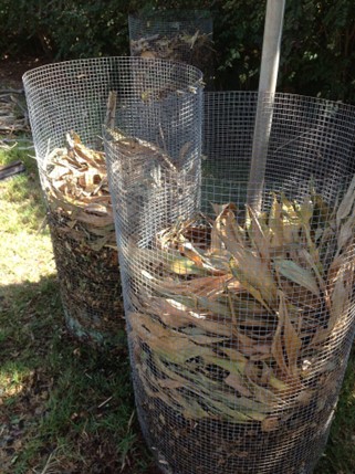 Simple methods for composting leaves in residential societies. Photo by Rosa Say/Flickr.