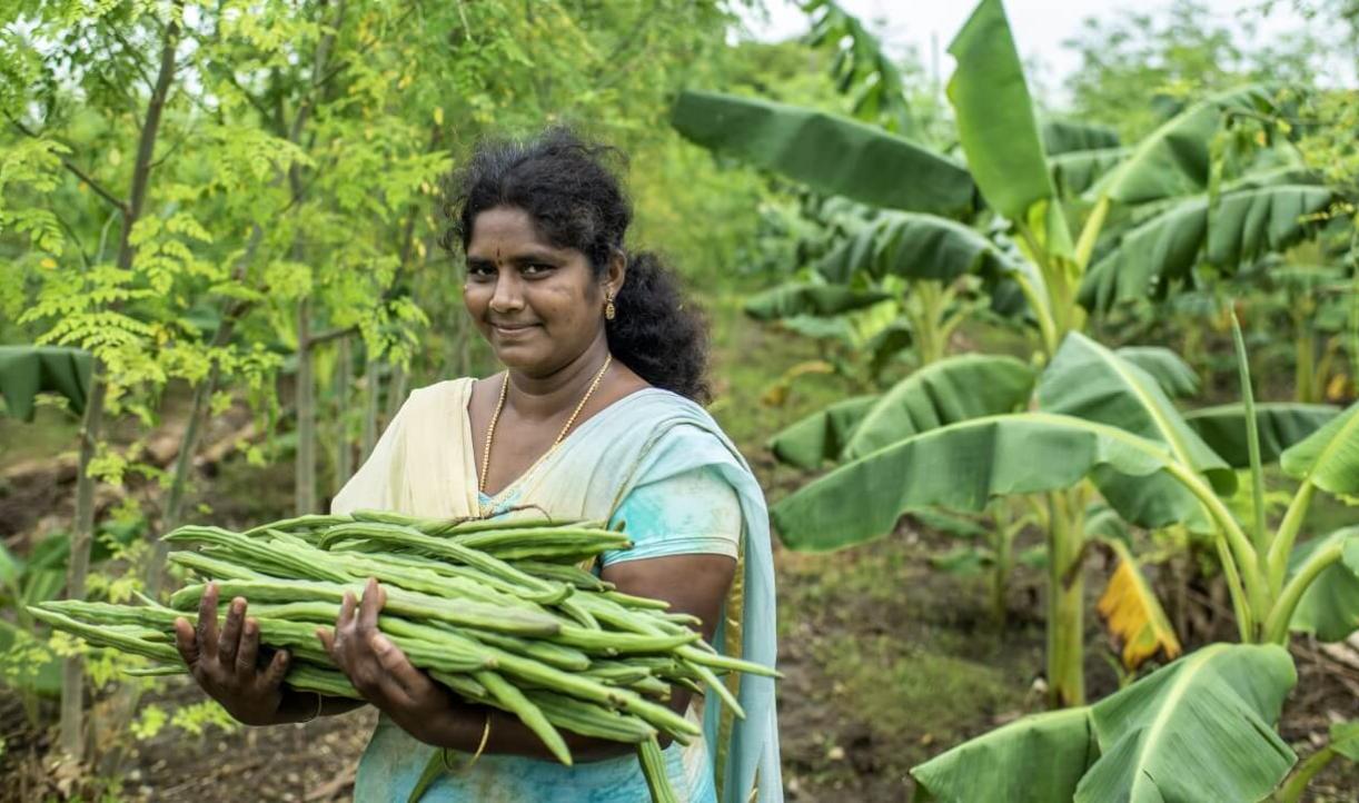 Produce | WRI India