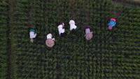 Women farmers