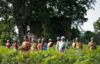 women farmers in tamil nadu standing in the sun