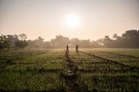 Farm landscape