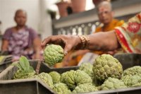 Food Waste GHG