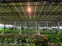 Agrivoltaics Farm