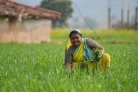 A woman in a field