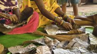 Sal leave plates in Chhattisgarh