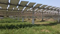 Agrivoltaics Farm