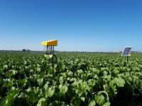 These companies take a variety of approaches to growing the restoration economy, an entire ecosystem of companies that regenerate the land and rural livelihoods