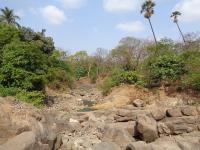The Mithi is an urban river whose course has been trained and altered over the years, for almost its entire 17 km stretch.