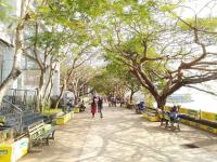 Climate action in urban areas is increasingly becoming important in structuring policies and regulations for disaster mitigation and overall governance.