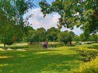 Bigger cities in India like Mumbai, Chennai, Hyderabad etc., are moving towards extensive greening of spaces but the underlying social, political and economic impacts of such land-use change is yet to be fully understood. Photo by Prima Prottasha/Unsplash