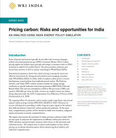 Pricing Carbon