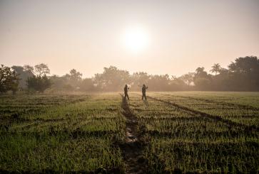 Farm landscape