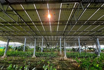 Agrivoltaics Farm