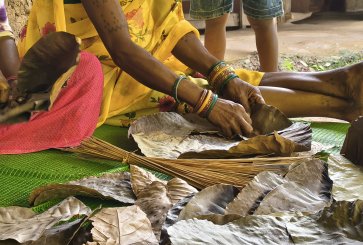 Sal leave plates in Chhattisgarh