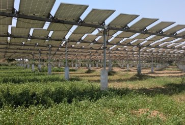 Agrivoltaics Farm