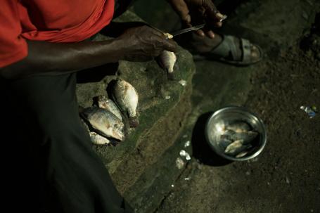Quote: “Earlier we had to place light bulbs outside our homes at night-time, but now we no longer feel the need.”