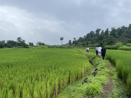 WRI India team explores lush, green agricultural fields surrounding Tarwari village.