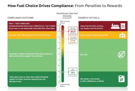 Marine fuel choice and compliance