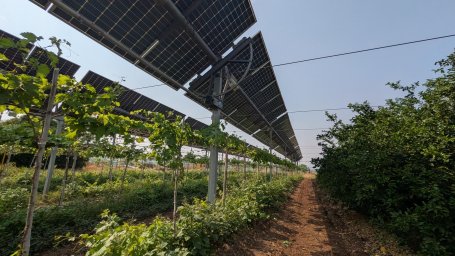 Agrivoltaics Farm