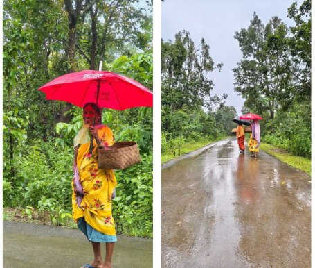 Women walk the forest bordering Kesapur in Chhattisgarh to collect Sal leaves.