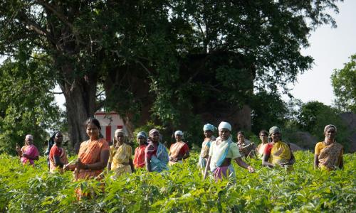 women farmers in tamil nadu standing in the sun