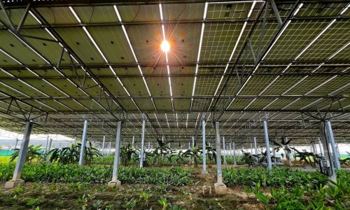 Agrivoltaics Farm