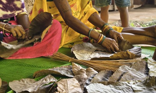 Sal leave plates in Chhattisgarh