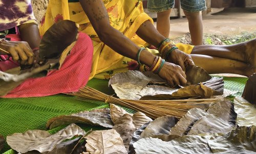 Sal leave plates in Chhattisgarh