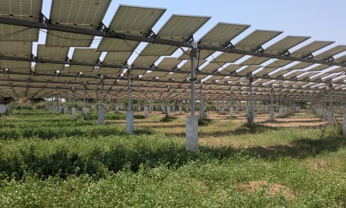Agrivoltaics Farm