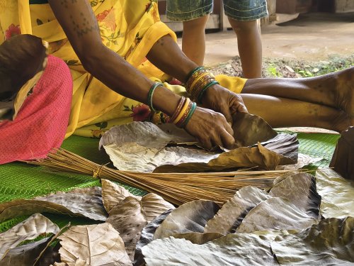 Sal leave plates in Chhattisgarh