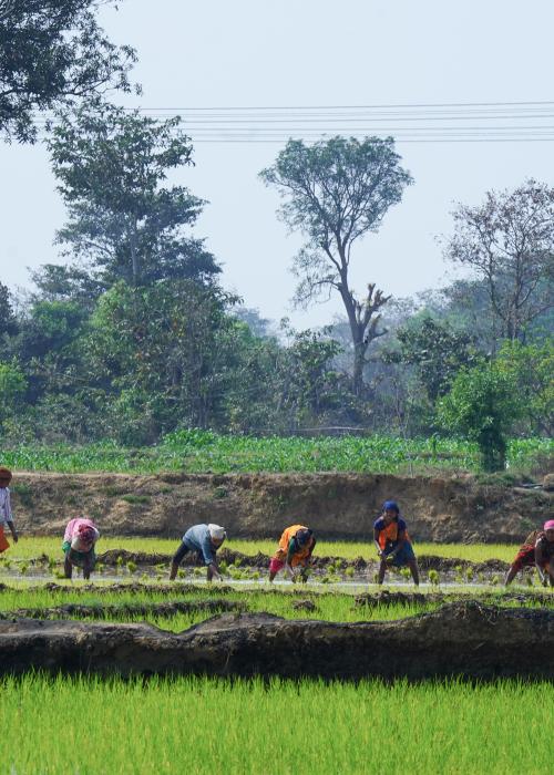 Land Accelerator 