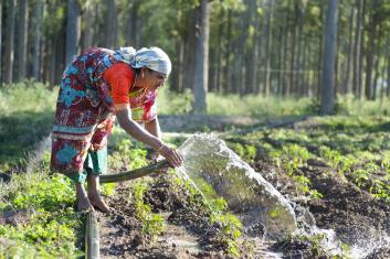 The local labor routed through MGNREGA are used for a variety of conservation activities