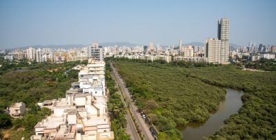 Arial view of roads and mangroves in Mumbai. Photo by Parikh Mahendra N/Shutterstock.