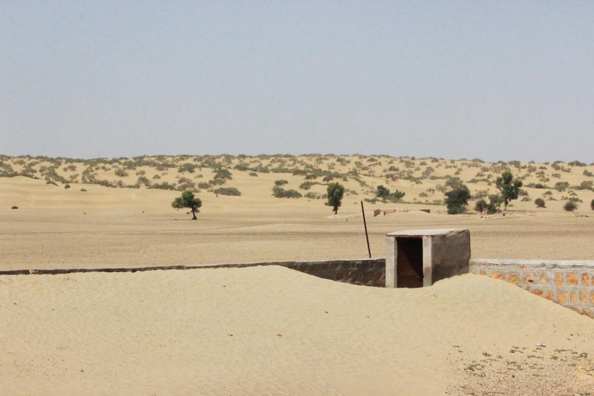 School compound in Girduwala filled with sand after a massive dune movement.