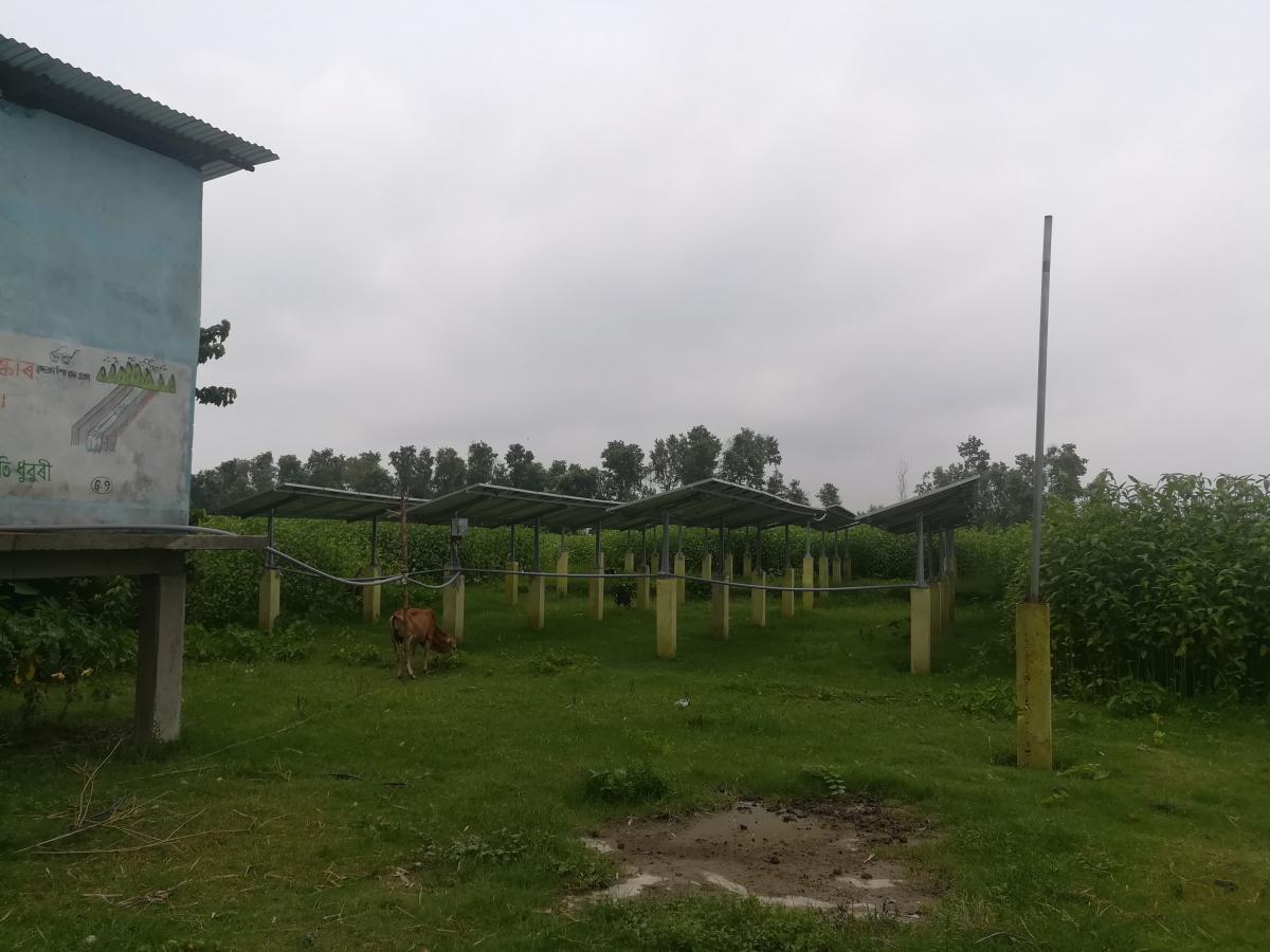 Micro-grid in Dhubri.