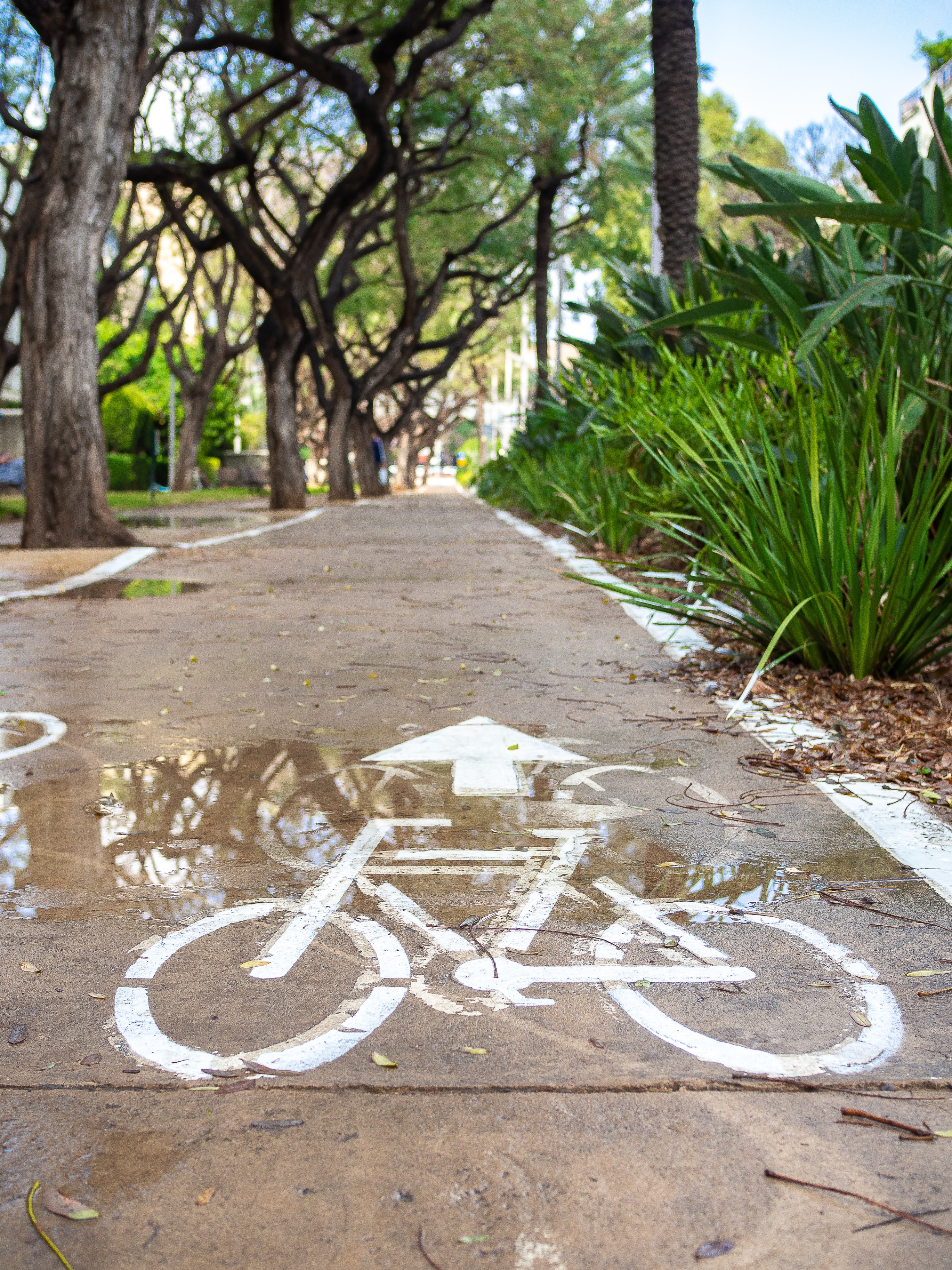 A demarcated cyclist lane with a cycle painted in white over the grey-brown pavement.